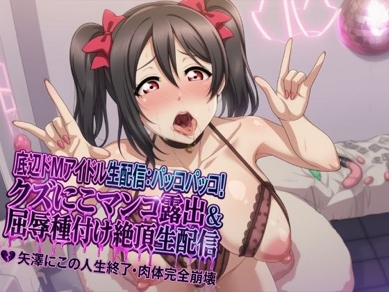 【底辺おマンコアイドル配信】ぱっこぱっこに〜! ゴミニコおマンコ晒し上げ・犬種付け屈辱イキ配信 矢●にこ 人生終了ボディ完全崩壊