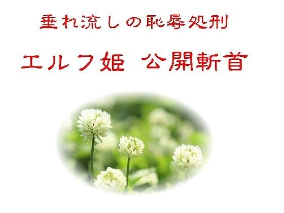 垂れ流しの恥辱処刑エルフ姫公開斬首 メイン画像