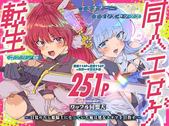 同人エロゲ転生 目覚めたら姫騎士になっていた俺は処女クリアを目指す メイン画像