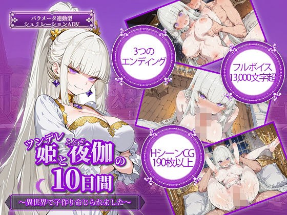 ツンデレ姫と夜伽の10日間 〜異世界で子作り命じられました〜 メイン画像