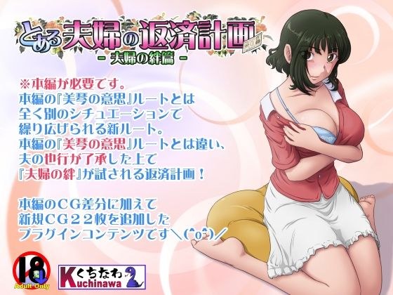 とある夫婦の返済計画ー夫婦の絆篇ー メイン画像