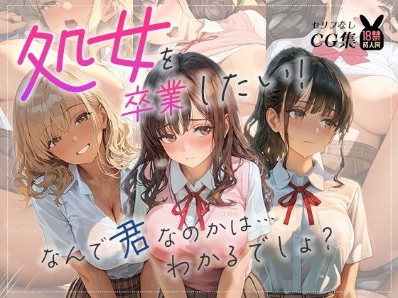処女を卒業したい！―なんで君なのかは…わかるでしょ？― メイン画像