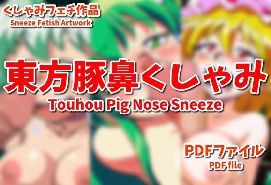 東方豚鼻パイズリくしゃみ!/ Touhou Pig Nose and Paizuri Sneeze! メイン画像