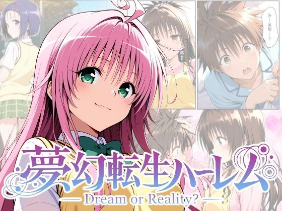 夢幻転生ハーレム メイン画像