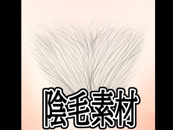 陰毛素材 メイン画像