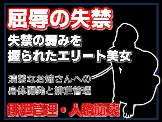 密室の聖女失禁:エレベーターに閉じ込められた清楚な年上美女をペットボトル排尿で屈服させた夜 メイン画像
