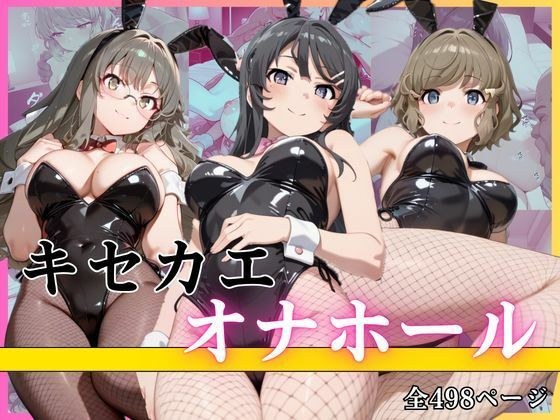 キセカエオナホール メイン画像