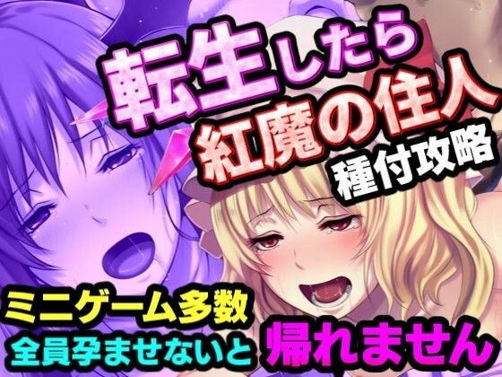 転生したら紅魔館の住人だった件