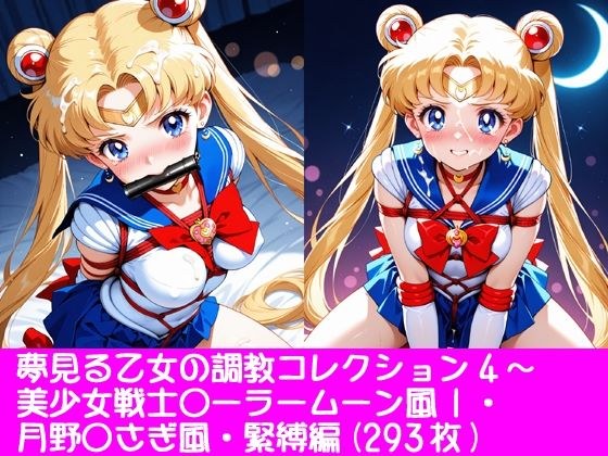 夢見る乙女の調教コレクション4〜美少女戦士〇ーラームーン風1・月野〇さぎ風・緊縛編 メイン画像