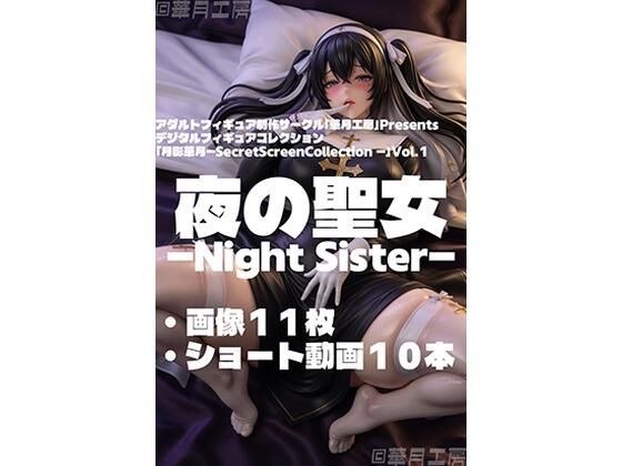 夜の聖女 - Night Sister - メイン画像