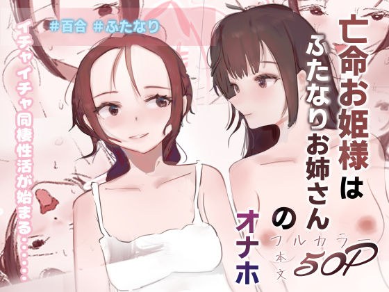 亡命お姫様はふたなりお姉さんのオナホ メイン画像