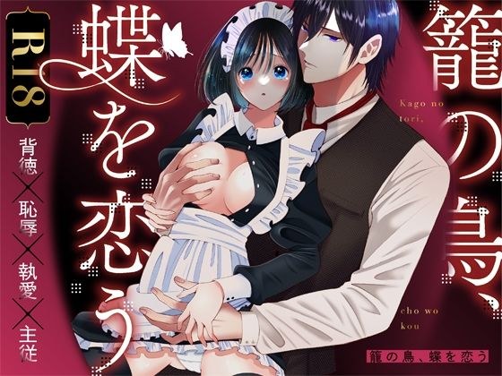籠の鳥、蝶を恋う メイン画像