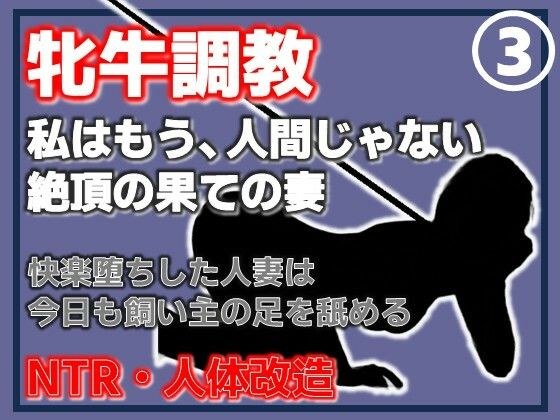 【第三卷】把已婚女人变成听话的牛，戴绿帽子，被支配，被支配的快感
