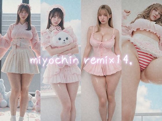 miyochin remix14， メイン画像