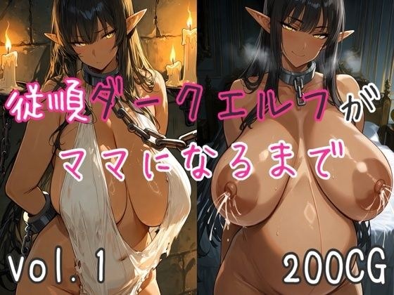 従順ダークエルフがママになるまで メイン画像