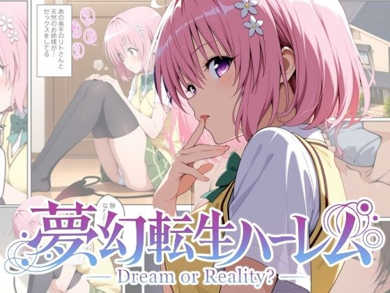 夢幻転生ハーレム2 メイン画像