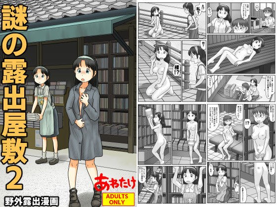 謎の露出屋敷2 メイン画像