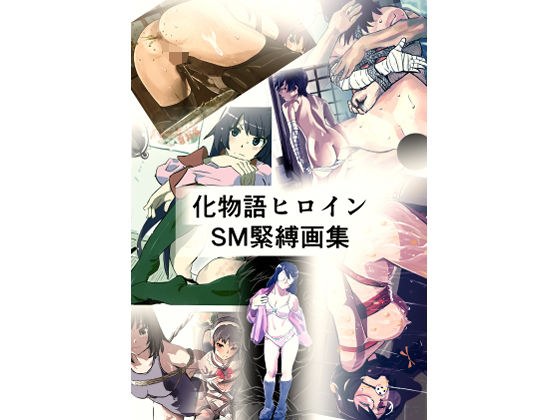 化物語ヒロイン  SM緊縛画集 メイン画像