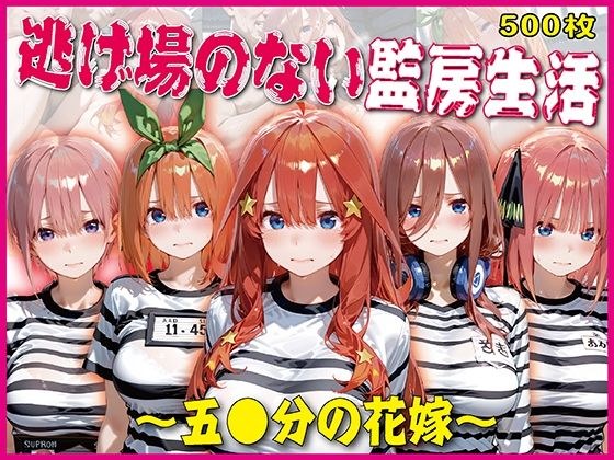 逃げ場のない監房生活〜五〇分の花嫁〜【豪華CG500枚収録】 メイン画像