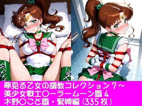 夢見る乙女の調教コレクション7〜美少女戦士〇ーラームーン風4・木野〇こと風・緊縛編 メイン画像