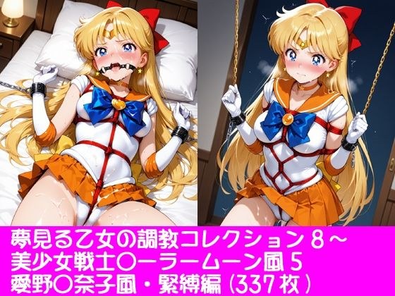 夢見る乙女の調教コレクション8〜美少女戦士〇ーラームーン風5・愛野〇奈子風・緊縛編 メイン画像