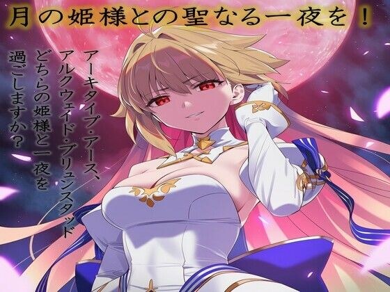 月の姫様と聖なる一夜を メイン画像