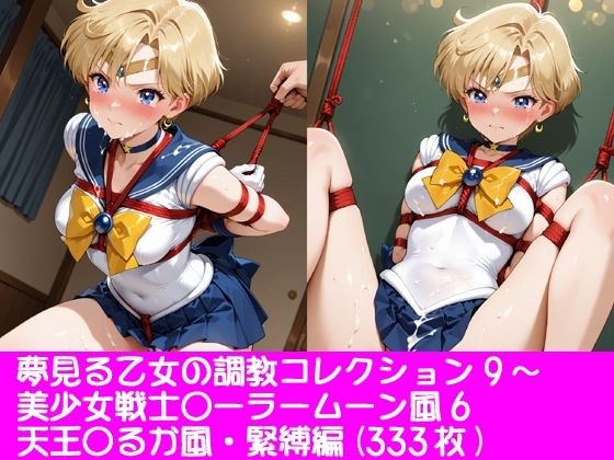 梦少女修行集9~美少女战士〇拉月风6/天王〇流花风/束缚版