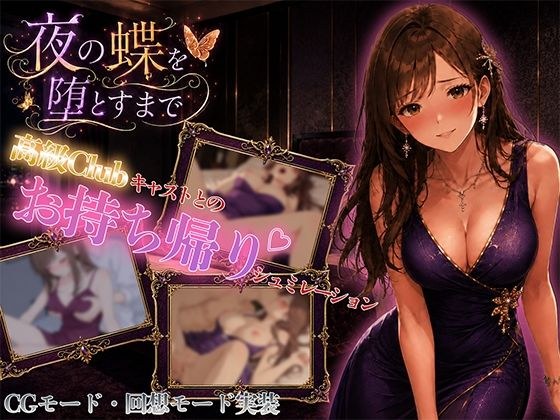 夜の蝶を堕とすまで メイン画像