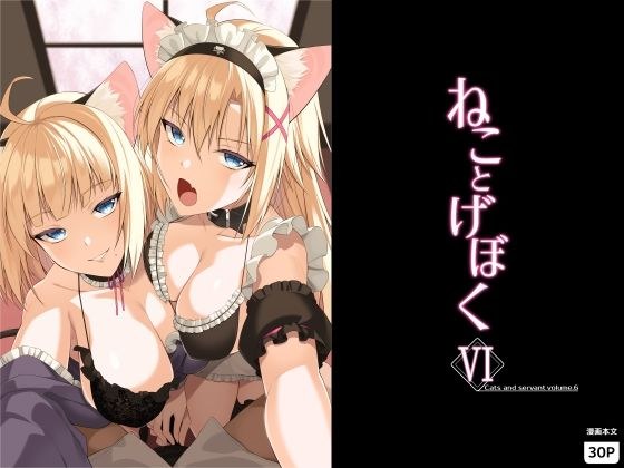 ねことげぼくVI メイン画像