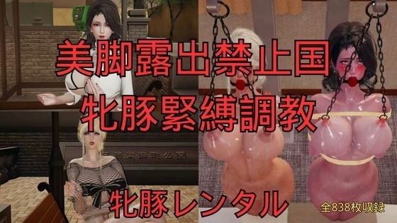 美脚露出禁止国 牝豚緊縛調教（全5話＋おまけ） メイン画像