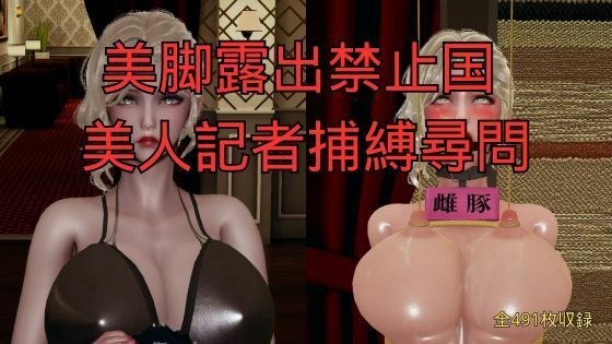 美脚露出禁止国 美人記者捕縛尋問（全6話） メイン画像
