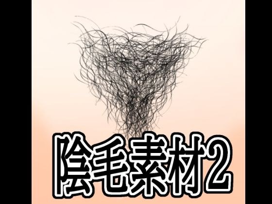 陰毛素材2
