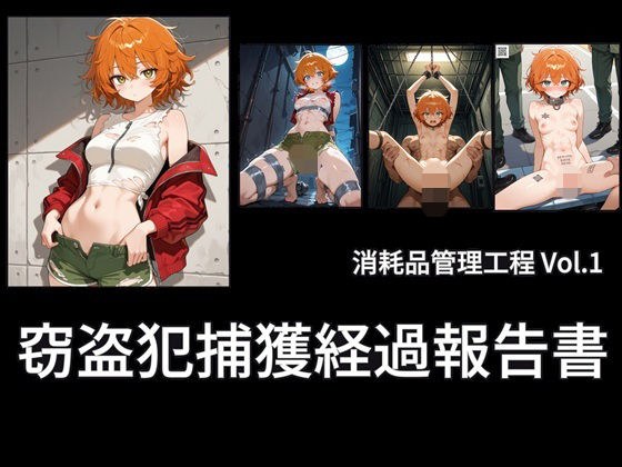 窃盗犯捕獲経過報告書 メイン画像