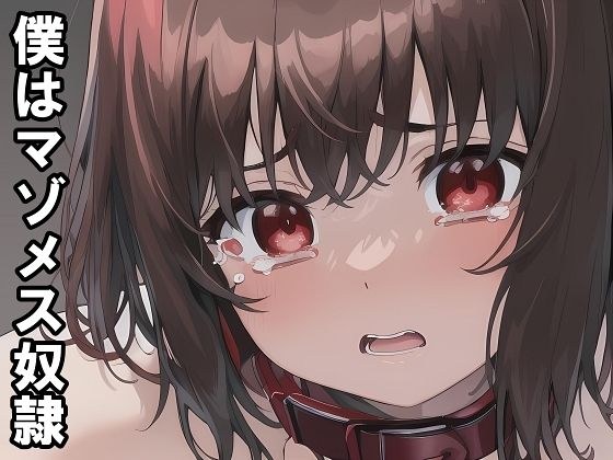 【小説+おまけイラスト7枚】僕はマゾメス奴●I