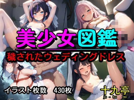 美少女図鑑  穢されたウェディングドレス メイン画像