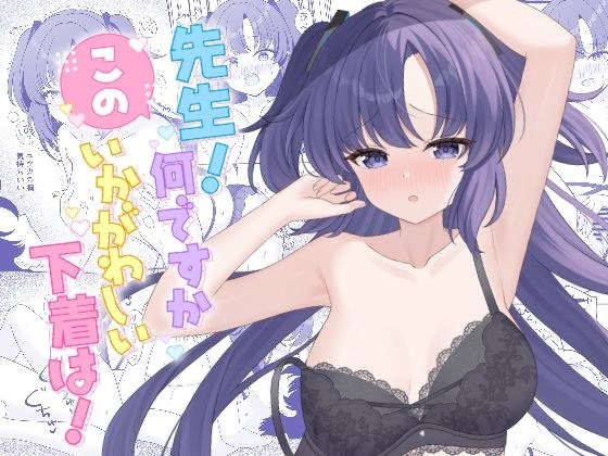 先生!何ですかこのいかがわしい下着は! メイン画像