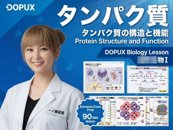 【▲20】一ノ瀬廻里 大学に進学し強豪予備校『DOPUX(ドピュックス』で生物I,IIを教える名物講師に!(Vol.017:タンパク質) メイン画像