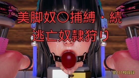 美脚奴〇捕縛・続 脱走奴●捕縛 メイン画像