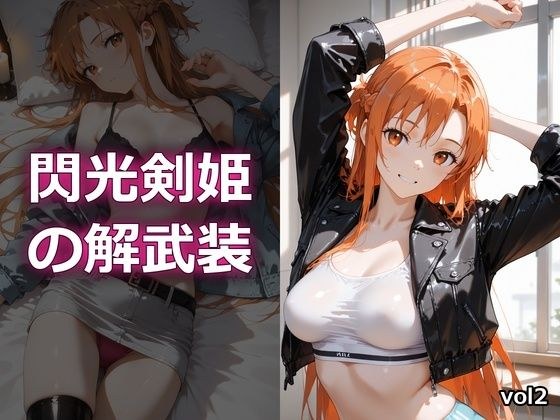 閃光剣姫の解武装vol2 メイン画像