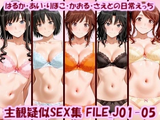 主観疑似SEX集 FILE_J01-05 はるか・あい・りほこ・かおる・さえとの日常えっち メイン画像