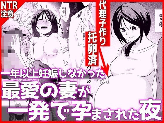 The night my beloved wife, who hadn't gotten pregnant for over a year, became pregnant in one shot.