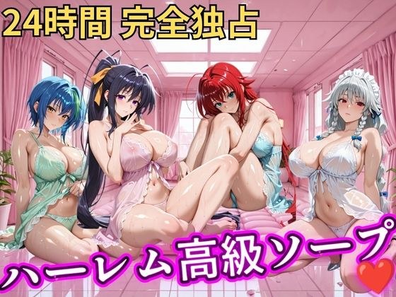 朝から晩までハーレム高級ソープ 【ハイスクールD×D】 メイン画像