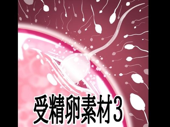 受精卵素材3 メイン画像