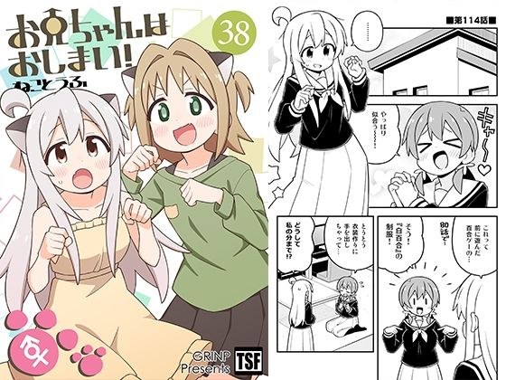 お兄ちゃんはおしまい!38