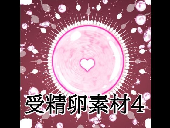 受精卵素材4 メイン画像