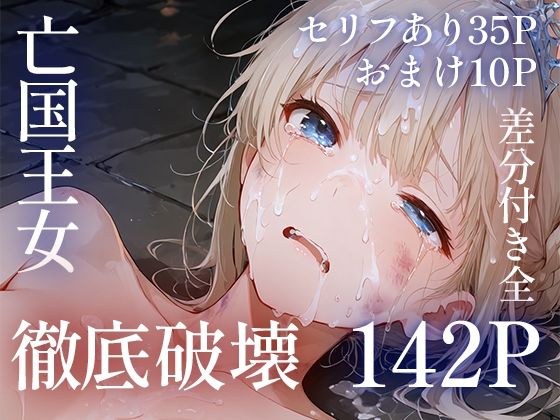 亡国王女徹底破壊 メイン画像
