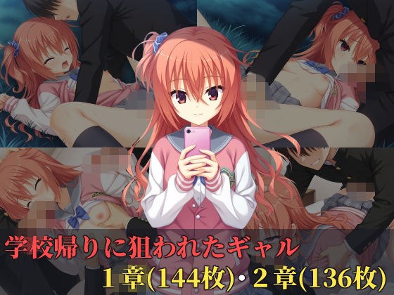 学校帰りに狙われたギャル メイン画像