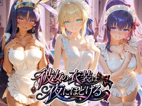彼女の衣装は夜にほどける F〇te メイン画像