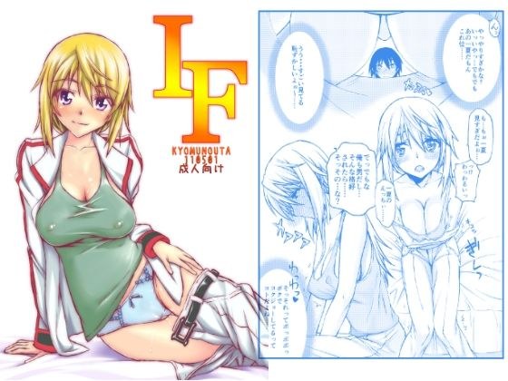 IF メイン画像
