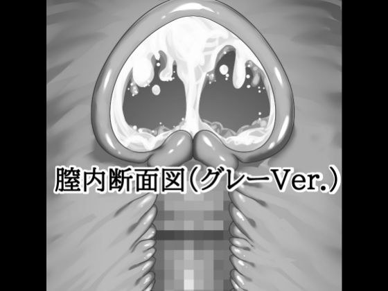膣内断面図素材（グレーVer.） メイン画像